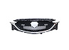 CAPA GRILLE ASY 2.5L|2.5L - image 1