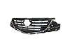 CAPA GRILLE ASY W/DARK GR - image 1