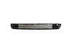 FRONT BUMPER GRILLE F57 C - image 1