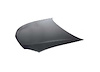 HOOD PANEL ASY 2DR COUPE - image 1