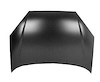 HOOD C FOCUS 00-04 - image 1