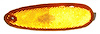 LH FT SIDEMARKER LAMP TAURUS/SABLE 96-99 - image 1