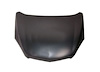 CAPA HOOD PANEL ASY GMC E - image 1