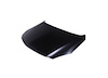 HOOD PANEL ASY STEEL BUIC - image 1