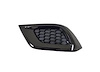 LT FRONT BUMPER INSERT OU - image 1