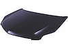 CAPA HOOD PANEL ASY CADIL - image 1