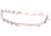 CAPA GRILLE MOLDING HYBRD - image 1
