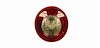 LH BACK-UP LAMP HHR 06-11 - image 1
