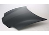 HOOD PANEL ASSY SUNFIRE 95-02 - image 1
