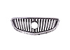 CAPA GRILLE ASY W/O EMBLE - image 1