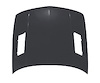 HOOD C W/ LOUVRES LUMINA CPE/SDN 90-94 - image 1