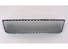 CAPA FRT BUMPER GRILLE SS - image 1