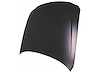 HOOD AVALON 00-04 - image 1