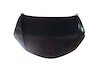CAPA HOOD PANEL ASY TOYOT - image 1