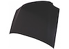 CAPA HOOD PANEL ASY SILVE - image 1