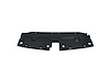 CAPA FRT PANEL MOLDING SI - image 1