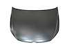 CAPA HOOD PANEL ASY VOLKS - image 1
