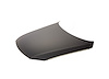 CAPA HOOD PANEL ASY STEEL - image 1