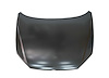HOOD PANEL ASY VOLKSWAGEN - image 1