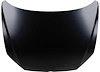 CAPA HOOD PANEL ASY VW PA - image 1
