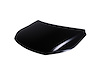 CAPA HOOD PANEL ASY VOLKS - image 1