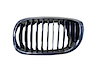 LH GRILLE ASY 2DR CPE/CON - image 1