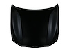 CAPA HOOD PANEL ASY G20 S - image 1