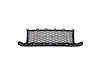 FRONT BUMPER GRILLE F48 W - image 1