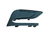 RH FRONT BUMPER INSERT PR - image 1