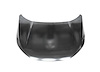CAPA HOOD PANEL ASY HONDA - image 1