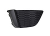 RH FRONT BUMPER INSERT FO - image 1
