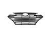 GRILLE ASY SEDANUSA BUILT - image 1