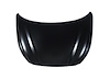CAPA HOOD PANEL ASY SONAT - image 1