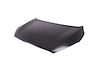 CAPA HOOD PANEL ASY KIA S - image 1