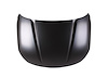 HOOD PANEL ASY KIA TELLUR - image 1