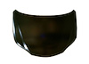 CAPA HOOD PANEL ASY LEXUS - image 1