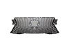 GRILLE ASY W/F SPT PKGW/P - image 1
