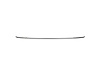 FRONT BUMPER MOLDING CENT - image 1