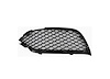 LT FRONT BUMPER INSERT 15 - image 1
