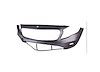FRONT BUMPER COVER X156 W - image 1
