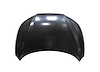 HOOD PANEL ASY NISSAN ROG - image 1