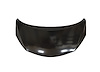 CAPA HOOD PANEL ASY NISSA - image 1