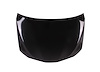 CAPA HOOD PANEL ASY TOYOT - image 1