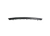 FRONT BUMPER MOLDING CENT - image 1
