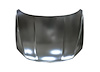 CAPA HOOD PANEL ASY VOLKS - image 1