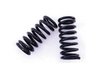 Front Small-Block Springs 1967-69 Pontiac Firebird Front Big-Block Springs - image 1