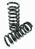 NEG ROLL SPRINGS PONT - image 1