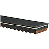 Recreational Belts - G-Force