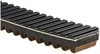 RECREATIONAL BELTS - G-FO - image 1