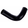 Molded Radiator Hose